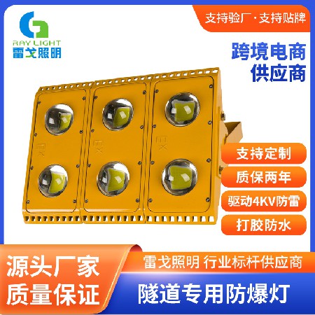 RG-FL-FB series LED Explosion-proof Lamp Low Voltage 36V220V Outdoor Trolley Tunnel Lamp Workshop Cold Storage Waterproof Metro Floodlight
